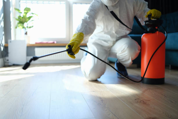 Reliable Sewage Cleanup contractor in Hicksville, NY by Trauma Clean Pros